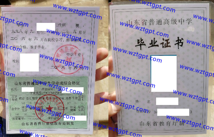 山东省鄄城县实验中学高中毕业证样本
