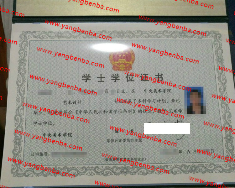 中央美术学院学士学位证书样本