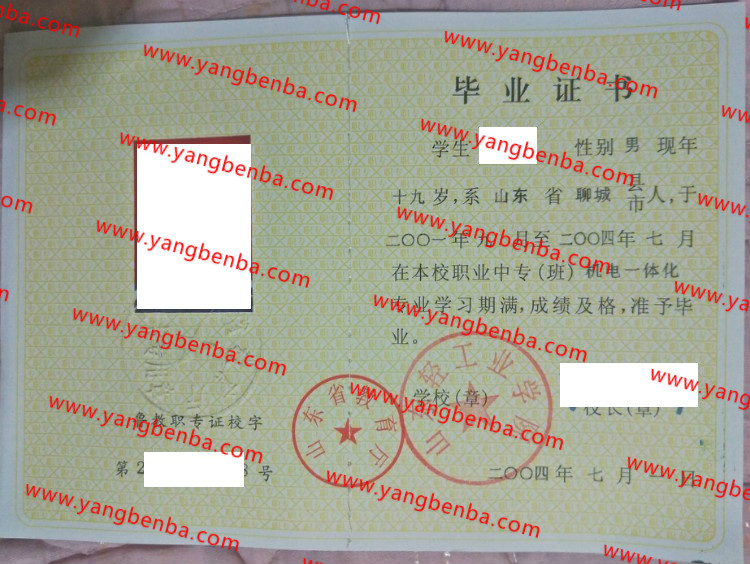 山东轻工业学院中专毕业证样本