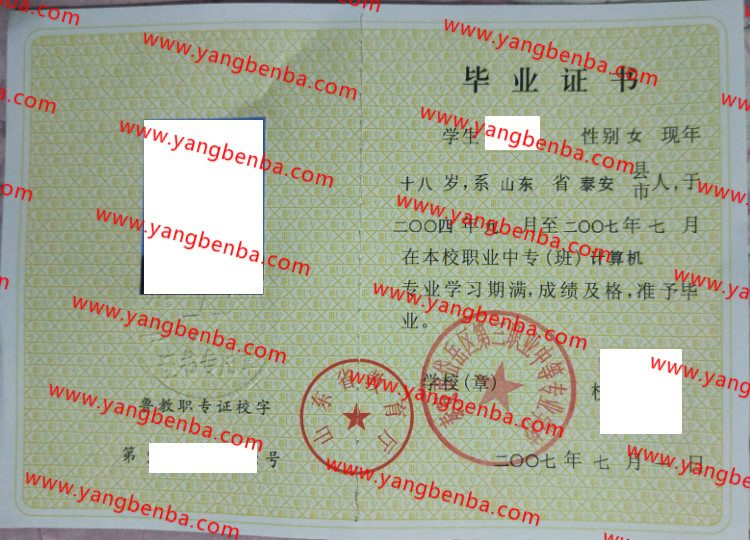 泰安市岱岳区第三职业中等专业学校中专毕业证样本