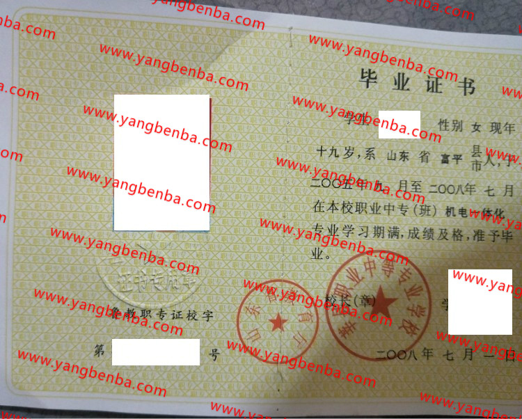 莘县职业中等专业学校中专毕业证样本