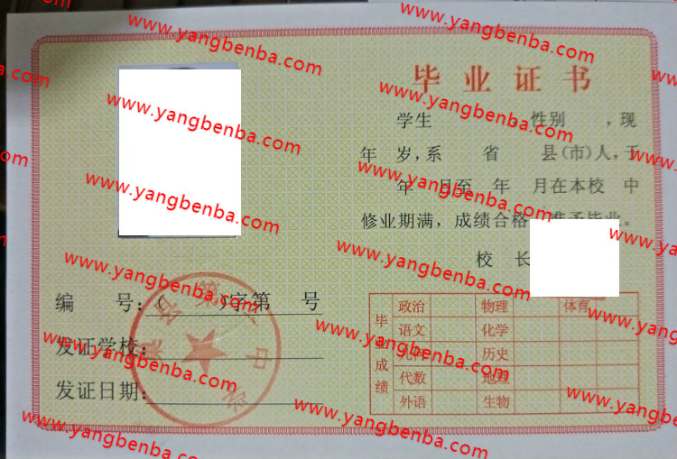 巢县第一中学高中毕业证样本