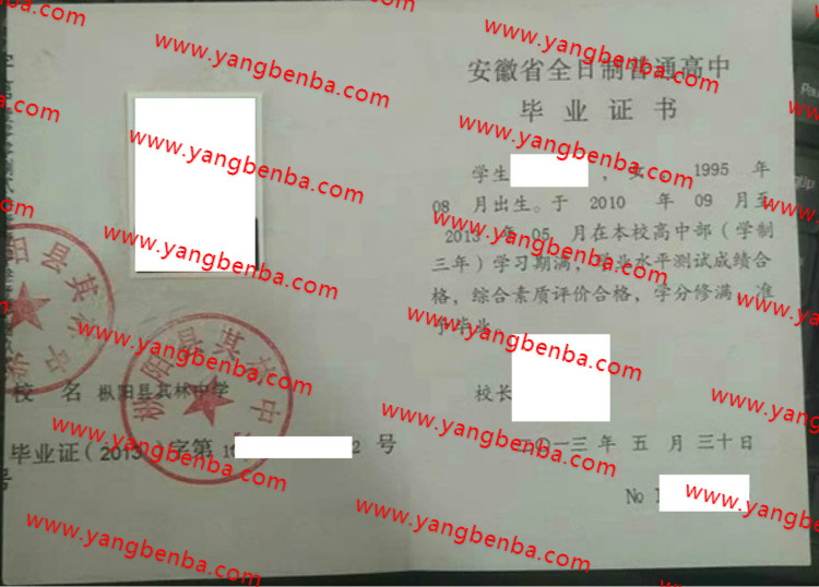 枞阳县其林中学高中毕业证样本