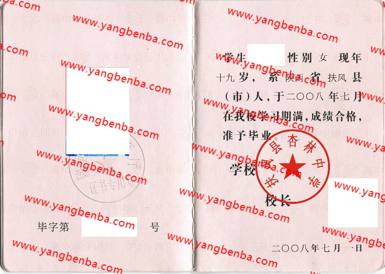 扶风县杏林中学高中毕业证样本