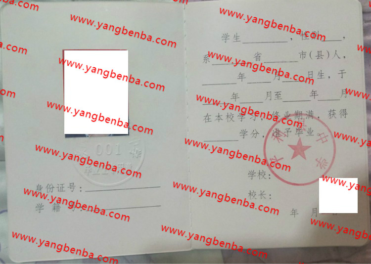 平利县中学高中毕业证样本