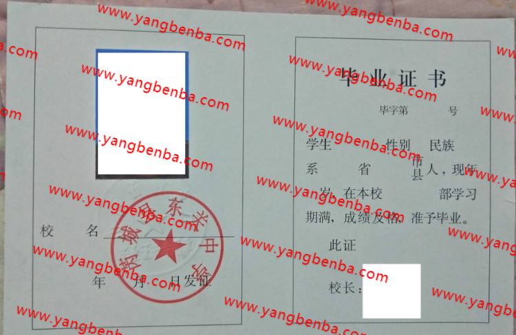 芮城县东关中学高中毕业证样本