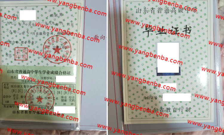 山东泗水县第二高级中学高中毕业证样本