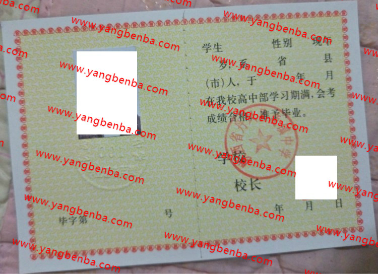 陕西省丹凤县商镇中学高中毕业证样本