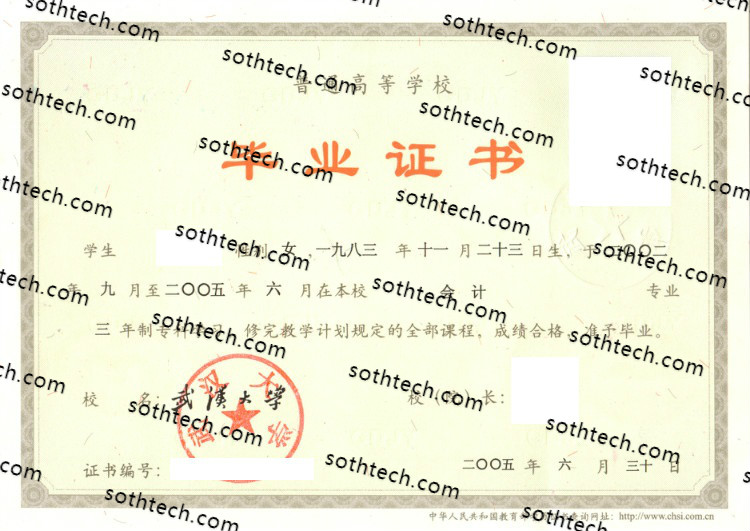 2005武汉大学毕业证样本