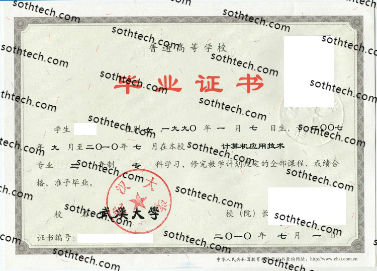 2010武汉大学毕业证样本