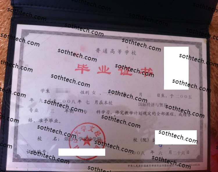 2009烟台大学文经学院毕业证样本