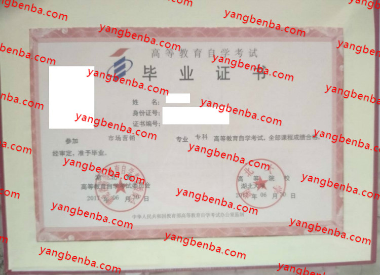 湖北大学自考毕业证样本