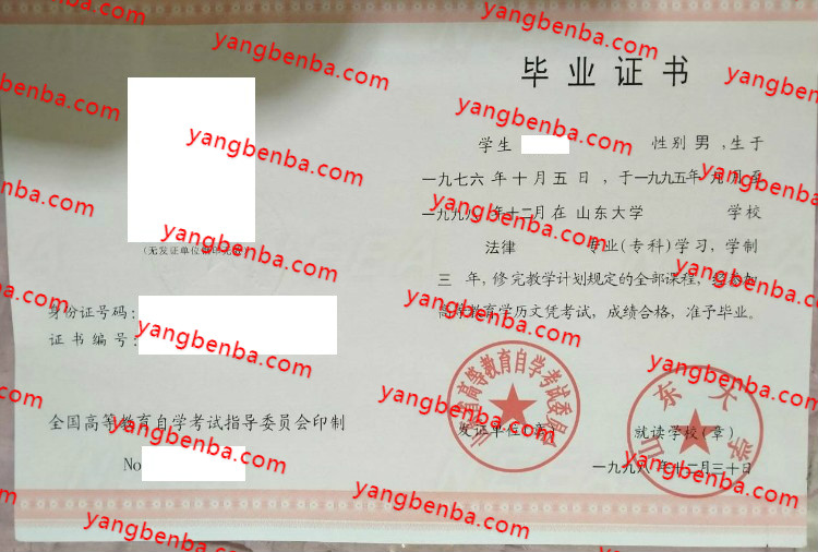 山东大学自考毕业证样本