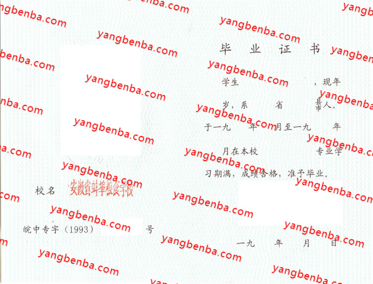 安徽粮食蚌埠学校中专毕业证样本