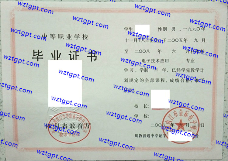 四川内江市金标电子学校中专毕业证样本