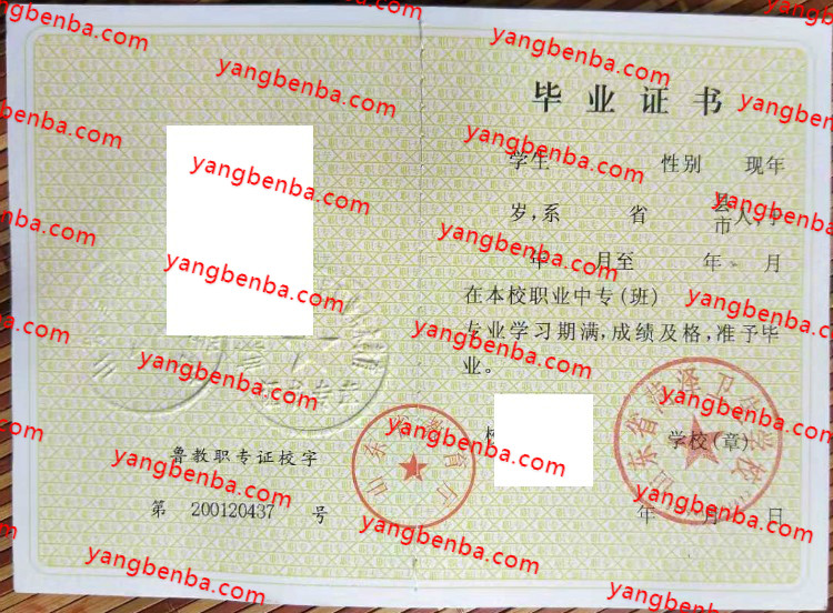 山东省菏泽卫生学校中专毕业证样本