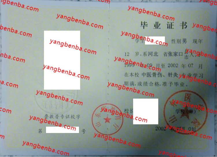 山东医学院中专毕业证样本