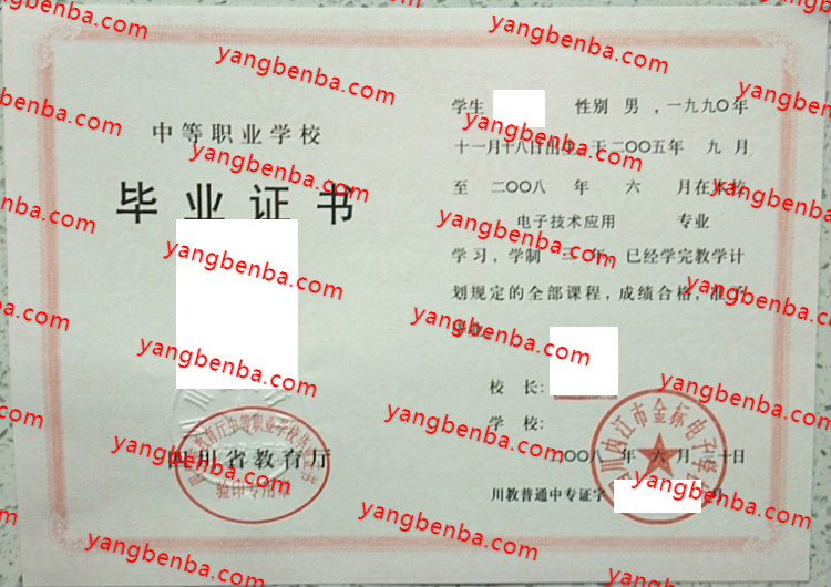四川内江市金标电子学校中专毕业证样本
