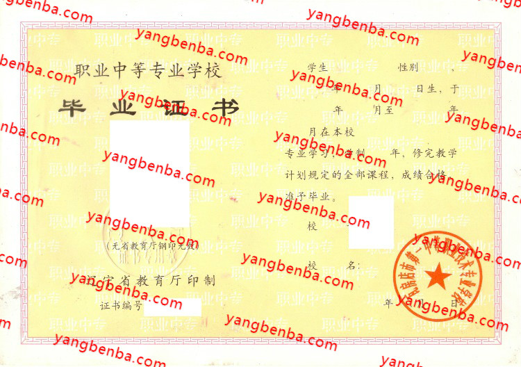瓦房店市第一中等职业技术专业学校中专毕业证样本