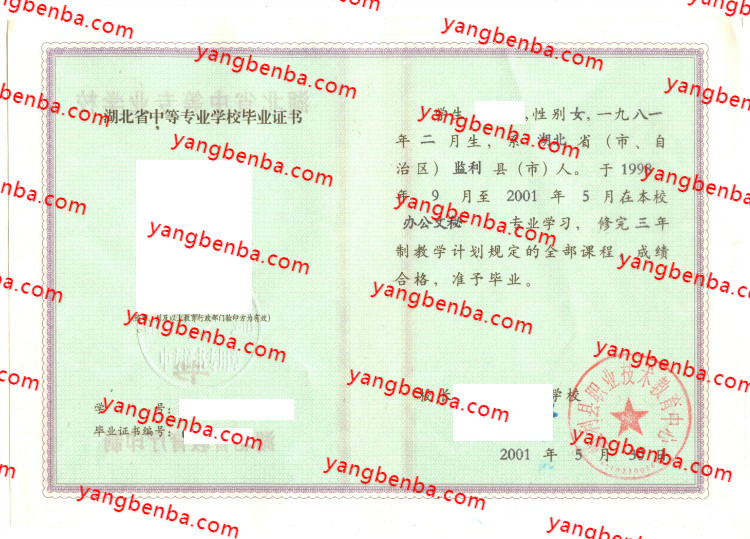 盐利县职业技术教育中心中专毕业证样本