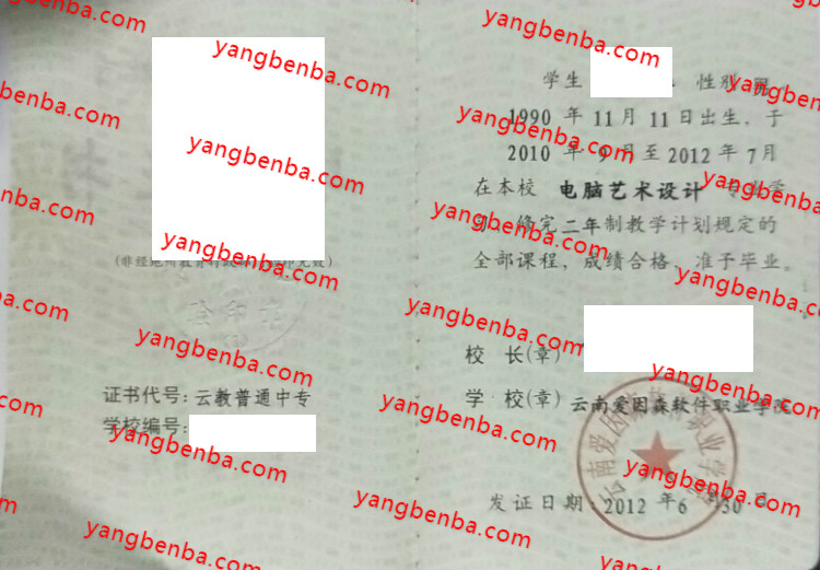 云南爱因森软件职业学院中专毕业证样本