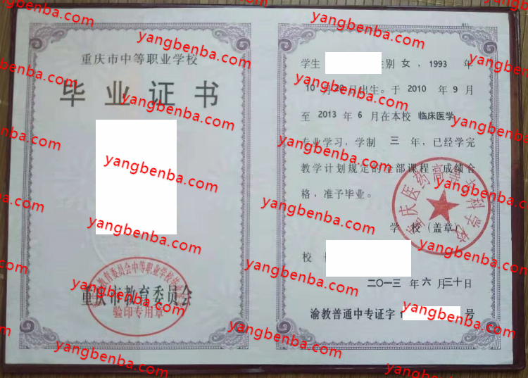 重庆医药高等专科学校中专毕业证样本