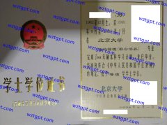 北京大学学士学位证书样本