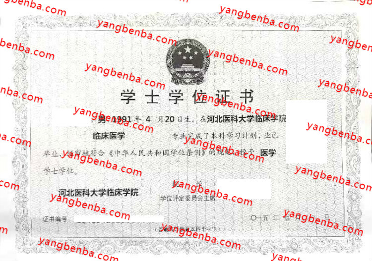 河北医科大学临床学院学士学位证书样本
