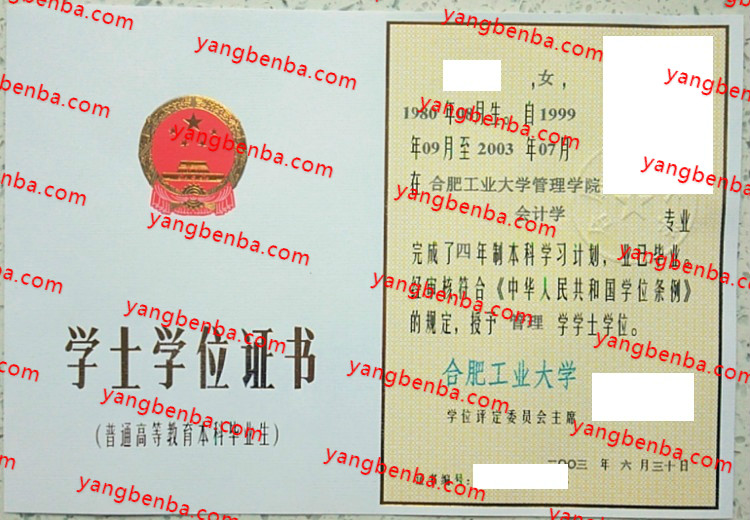 合肥工业大学学士学位证书样本