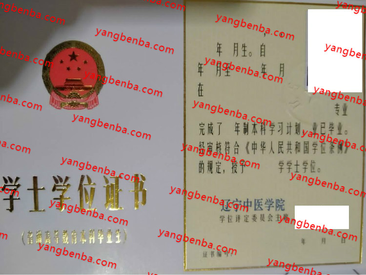 辽宁中医学院学位证书样本
