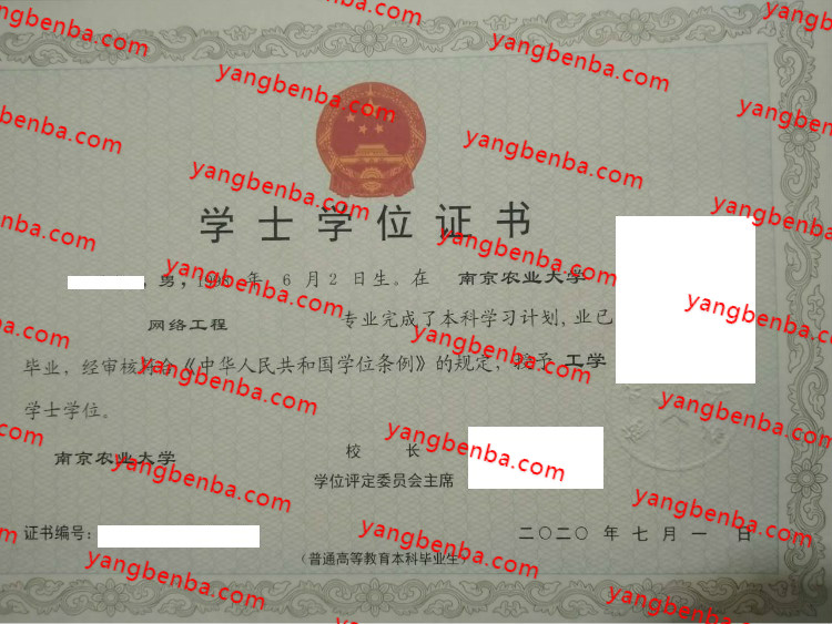 南京农业大学学士学位证书样本