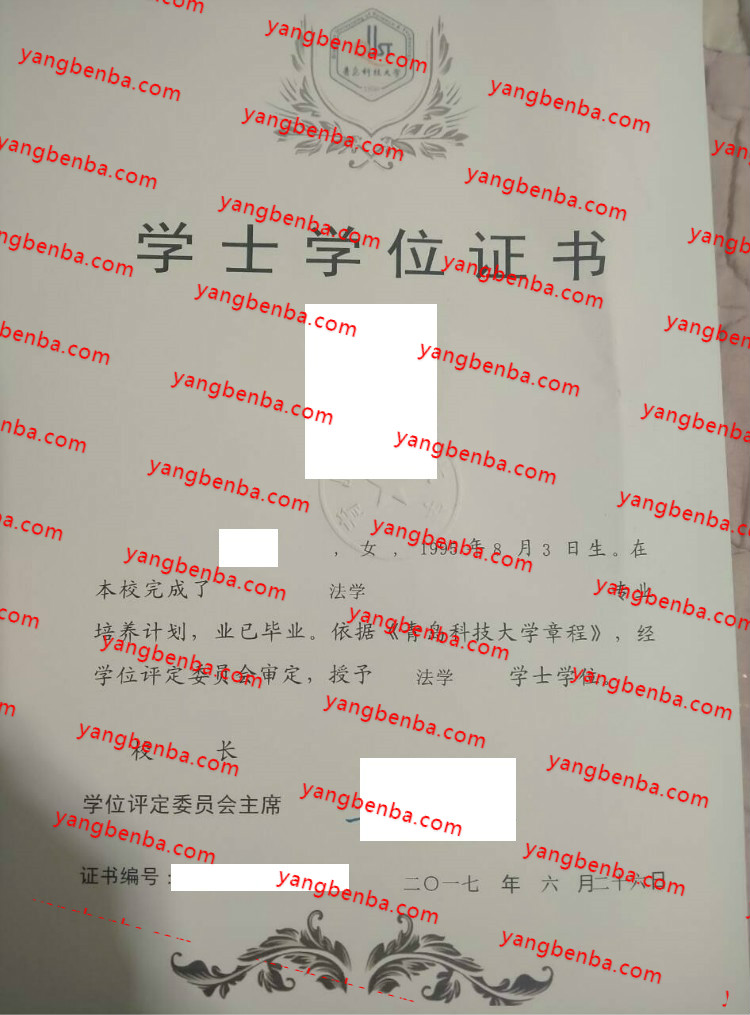 青岛科技大学学士学位证书样本