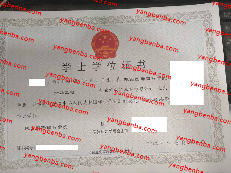 陕西国际商贸学院学士学位证书样本