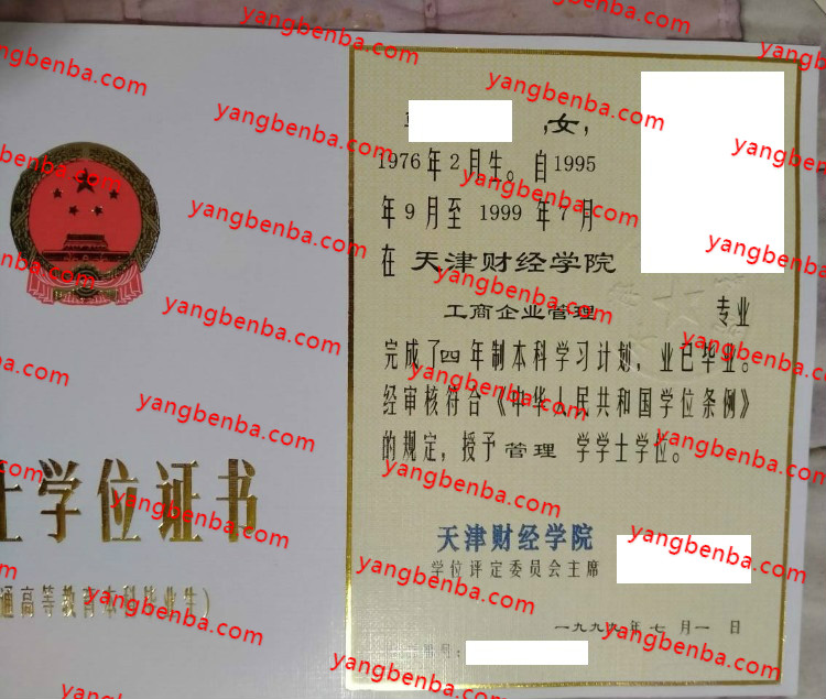 天津财经学院学士学位证书样本
