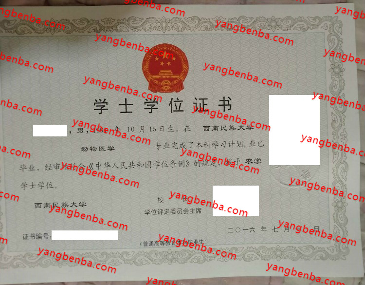 西南民族大学学士学位证书样本