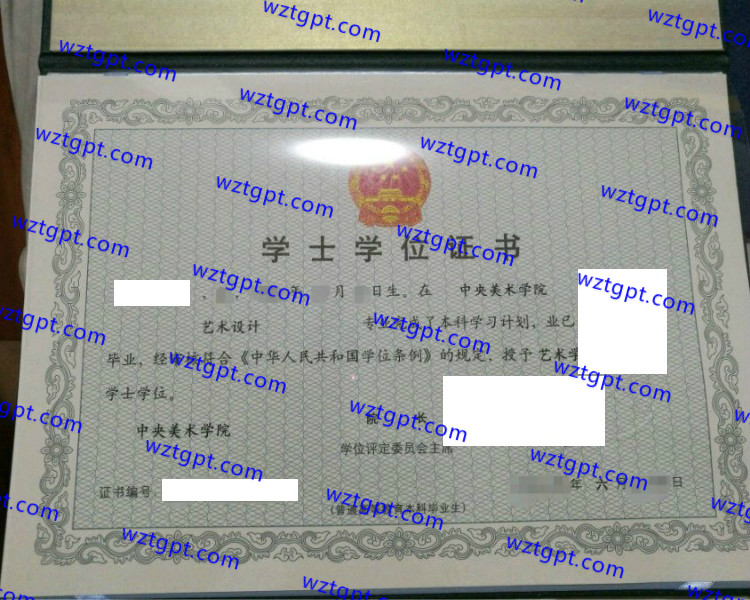 中央美术学院学士学位证书样本