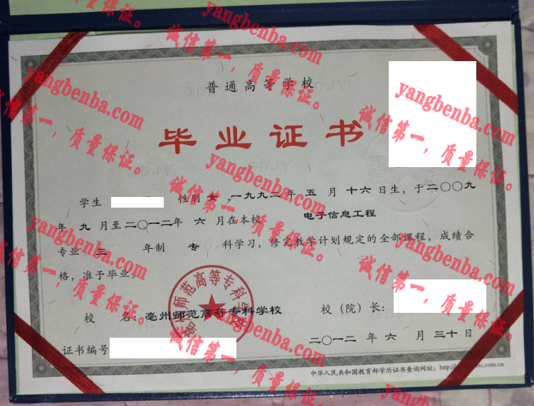 亳州师范高等专科学校毕业证样本