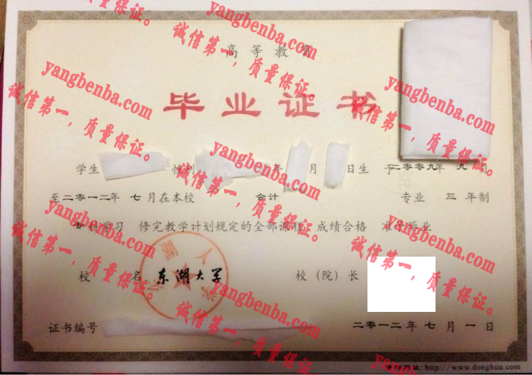 东湖大学毕业证样本