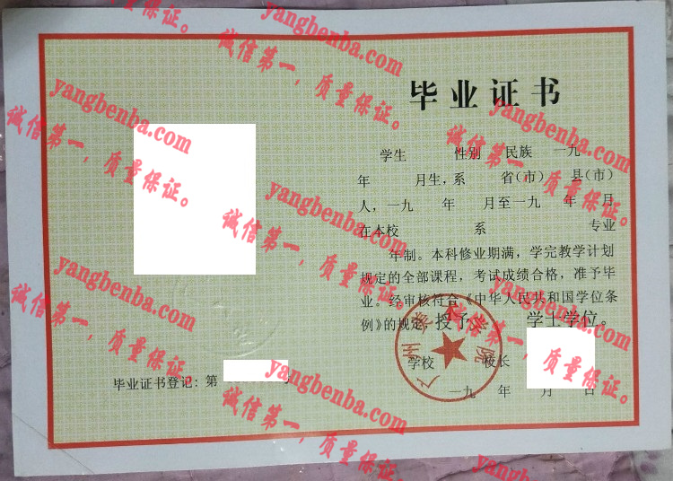 广州美术学院毕业证样本