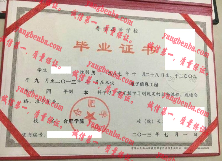 合肥学院毕业证样本