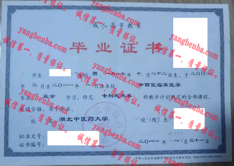 湖北中医药大学毕业证样本