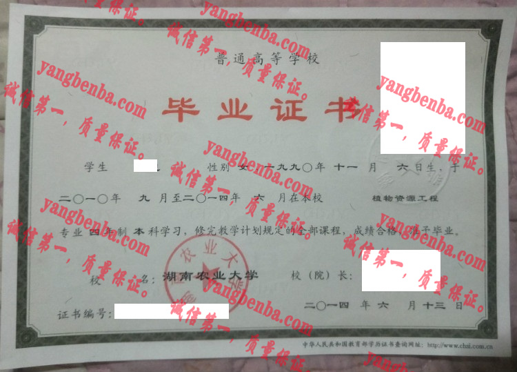 湖南农业大学毕业证样本
