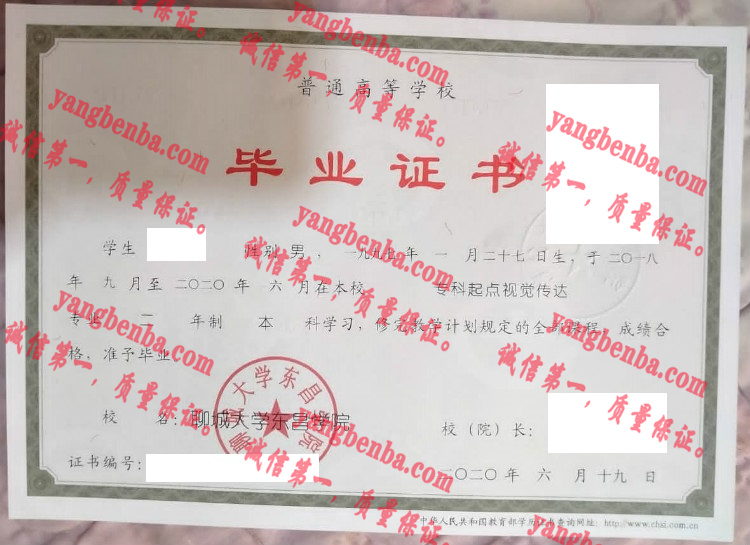 聊城大学东昌学院毕业证样本