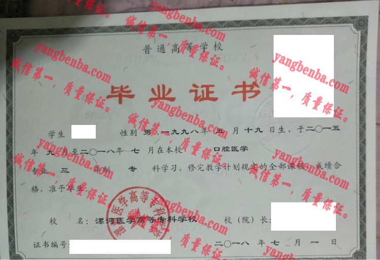 漯河医学高等专科学校毕业证样本