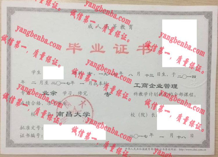 南充大学毕业证样本