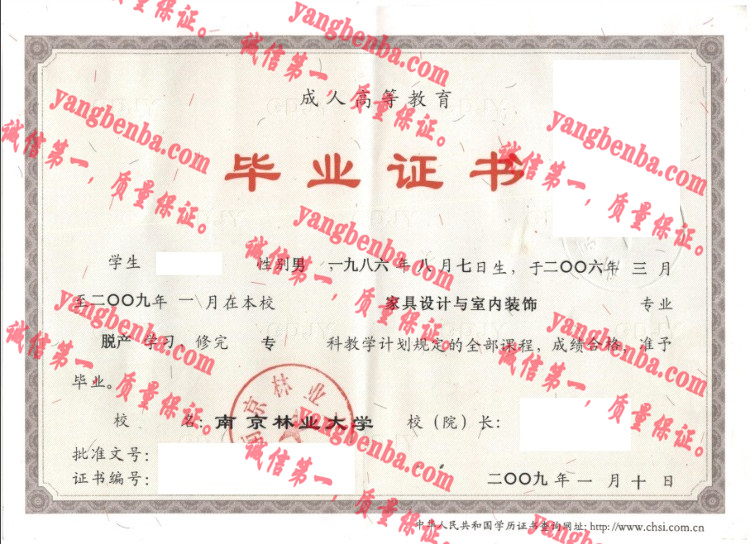 南京林业大学毕业证样本