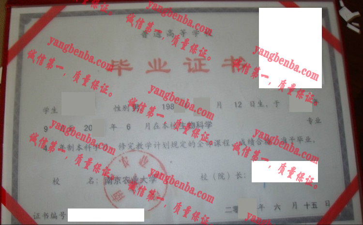 南京农业大学毕业证样本