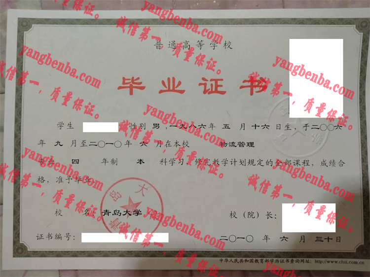 青岛大学毕业证样本