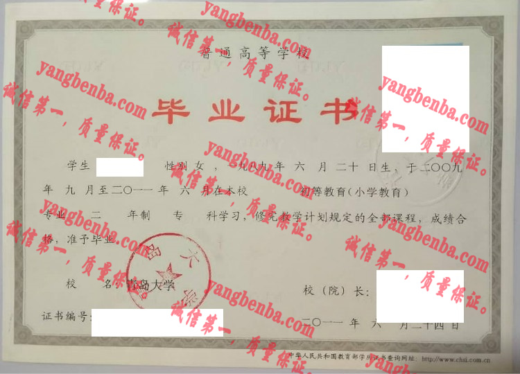 青岛大学毕业证样本