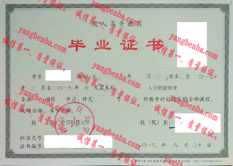 青岛科技大学毕业证样本